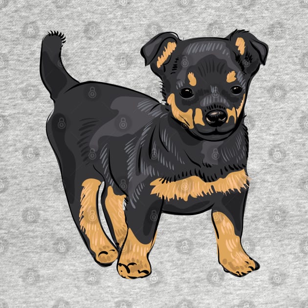 Lancashire Heeler dog puppy by Catdog